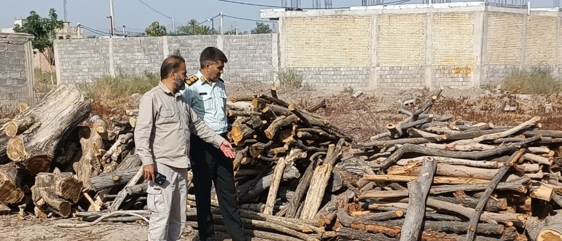 کشف دپوی چوب در شهر جیرفت پس از گشت نامحسوس نیروهای منابع طبیعی