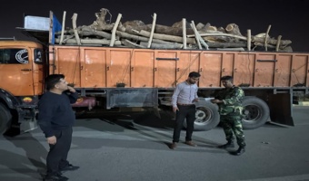 کامیون حامل چوب بدون مجوز حمل در شهرستان جیرفت توقیف شد