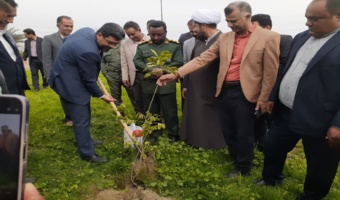  برگزاری پویش سراسری روز درختکاری "جان ایران" در شهرستان های جنوب کرمان