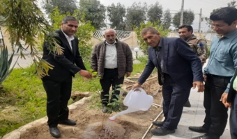 غرس نهال توسط همکاران بازنشسته اداره منابع طبیعی جیرفت