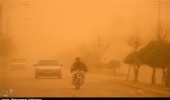 طوفان‌های گرد وغبار در کشور امسال شدیدتر می‌شوند
