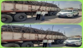 رودبارجنوب/۲۰ تُن چوب بدون مجوز حمل در شهرستان رودبارجنوب کشف و ضبط شد