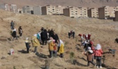 اجرای فرمان رهبر معظم انقلاب در زمینه آبخیزداری وآبخونداری در جنوب کرمان با تدبیر دکتر کردستانی از محل اعتبارات صندوق توسعه ملی