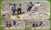 بازدید معاون فنی اداره کل منابع طبیعی و آبخیزداری جنوب کرمان از جنگل دست کاشت تل سیاه