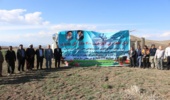  آغاز طرح ۴۰۰ هکتاری کاشت گل محمدی در جیرفت 