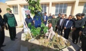 جیرفت/ گزارش تصویری/غرس نهال