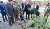 غرس نهال با حضور سردار نظری فرمانده سپاه ثارالله استان کرمان