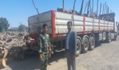 کشف و ضبط ۱۰ تُن چوب بدون مجوز حمل در شهرستان رودبارجنوب