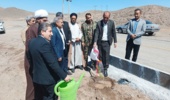 غرس ۱٠ نهال زیتون بیاد شهدای مقاومت در شهر درب بهشت 