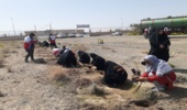 غرس ۱۵۰ اصله نهال با همکاری جمعیت هلال احمر در شهرستان کهنوج