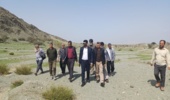 بازدید از مرتع پاگدار سبز شهرستان منوجان