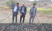 تولید نهال سردسیری برای اولین بار در جنوب کرمان در راستای طرح مردمی کاشت یک میلیارد درخت