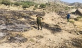 آتش سوزی عرصه های منابع طبیعی بخش جبالبارز شمالی شهرستان جیرفت مهار شد