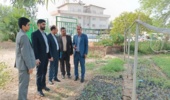 بازدید موسوی معاون دفتر مرکزی حراست سازمان منابع طبیعی و آبخیزداری کشور از نهالستان شهرستان جیرفت و نگهبانی اداره کل/ تصویر