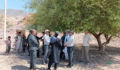 بازدید مدیرکل منابع طبیعی و آبخیزداری جنوب کرمان از تنگ شاه عنبرآباد؛ بررسی وضعیت آب شرب دام و پلاک مرزی بین شمال و جنوب استان کرمان 