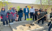  برگزاری پویش نهال مهر در مدارس شهرستان کهنوج 