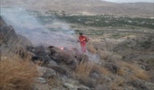 آتش سوزی عرصه های منابع طبیعی دلفارد شهرستان جیرفت مهار شد