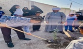 غرس ۳۰ اصله نهال در مدرسه شهید عبدی مالکی عنبرآباد