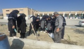 غرس نهال در محوطه ی مدرسه متوسطه اول دخترانه نمونه بعثت کهنوج