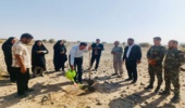 کاشت ۱۰۰ اصله نهال به مناسبت روز حهانی خاک در مرتع سیاه معدن عنبرآباد