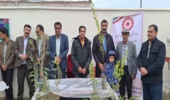 برپایی میزخدمت و توزیع نهال در حاشیه جشنواره بازی های بومی و محلی روستایی و عشایری شهرستان جیرفت 