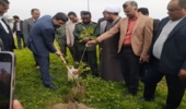  برگزاری پویش سراسری روز درختکاری "جان ایران" در شهرستان های جنوب کرمان