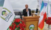 کاشت ۲۰۰ هزار اصله نهال در هفته منابع طبیعی در جنوب کرمان