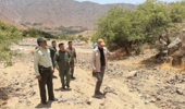 ذخیرهگاه جنگلی انار شیطان؛ میراثی کمنظیر در جنوب کرمان