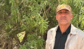 قطع درختان جنگلی، حتی در اراضی مستثنیات، بدون مجوز قانونی ممنوع است