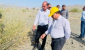 توسعه جنگلکاری در جنوب کرمان؛ مدیرکل منابع طبیعی از پروژه کمربند سبز شیبکوه بازدید کرد