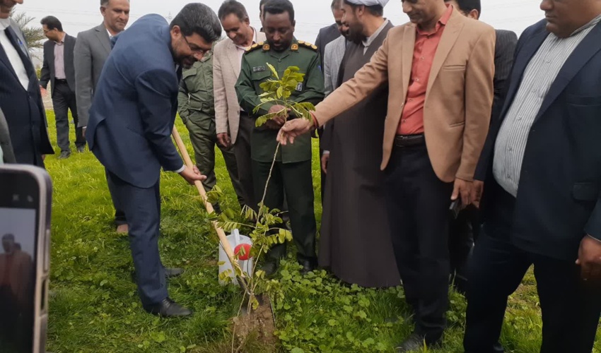  برگزاری پویش سراسری روز درختکاری "جان ایران" در شهرستان های جنوب کرمان