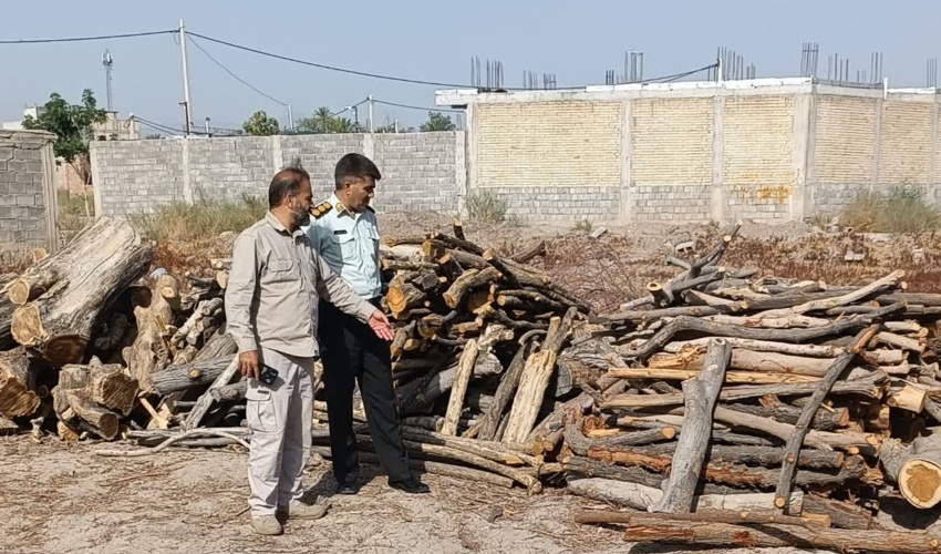کشف دپوی چوب در شهر جیرفت پس از گشت نامحسوس نیروهای منابع طبیعی