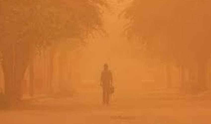 رودبارجنوب/بازدید فرماندار شهرستان رودبار جنوب از پروژه های جنگلکاری رضاآباد و بهادرآباد 