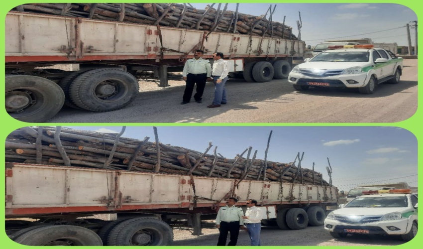 رودبارجنوب/۲۰ تُن چوب بدون مجوز حمل در شهرستان رودبارجنوب کشف و ضبط شد