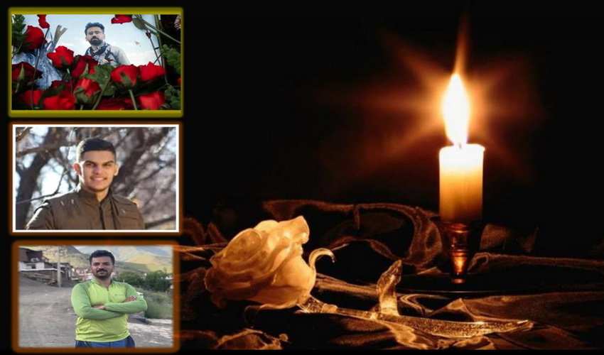  تا پایان سال جاری ۴۰۰۰ هکتار از مراتع تخریب شده جنوب کرمان احیاء و بازسازی خواهد شد.