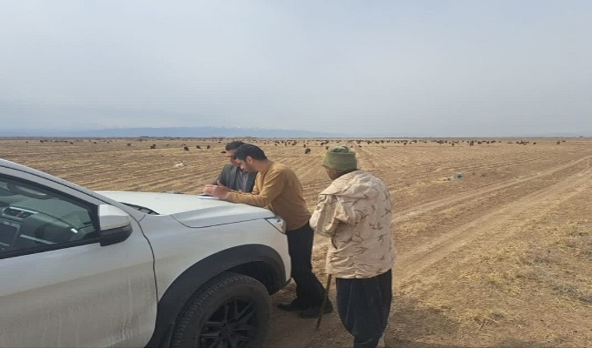 بهنگام سازی دستورالعمل های بیابان زدایی برای مقابله با فرسایش بادی