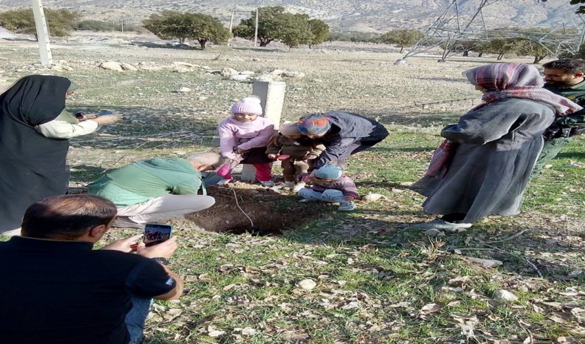 21 تیم منابع طبیعی در جنوب کرمان فعال شد