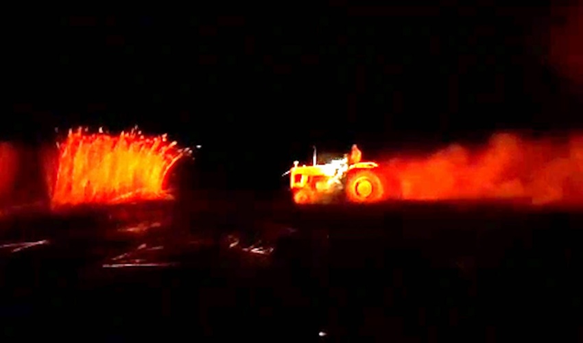 ۱۴ میلیون اصله نهال در کشور غرس می‌شود