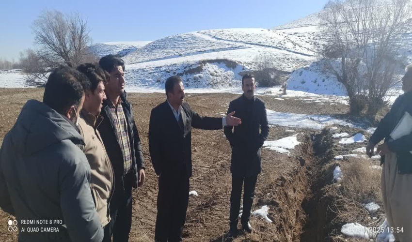 بازدید رییس سازمان جنگل‌های کشور از پروژه‌های بیابان‌زدایی جنوب کرمان