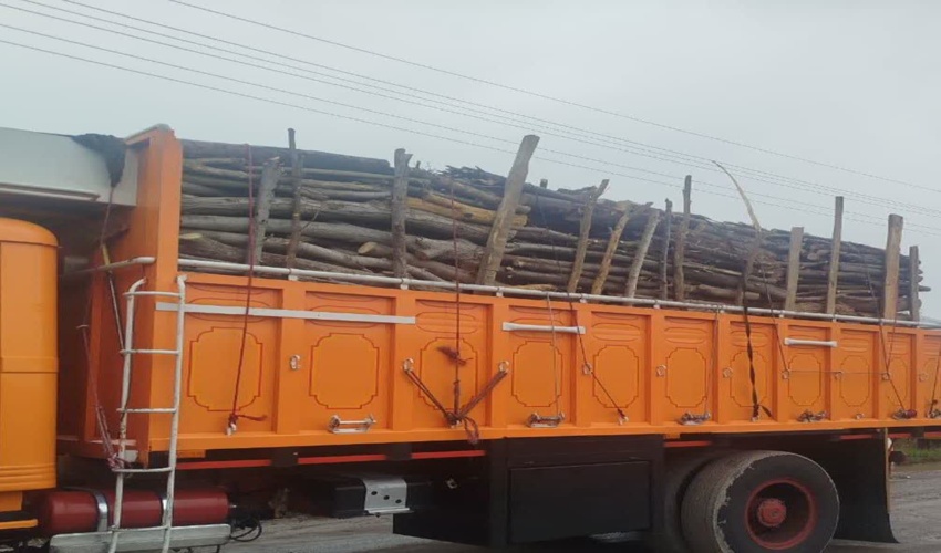 رفع تصرف ۱۵۱۷٠۵ مترمربع از اراضی ملی شهرستان رودبارجنوب