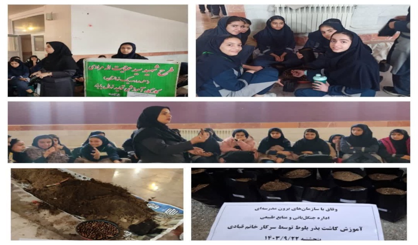 بازدید مدیرکل منابع طبیعی و آبخیزداری جنوب کرمان از پروژه نهالکاری و آبیاری مراقبت ریگ متین شهرستان قلعه گنج