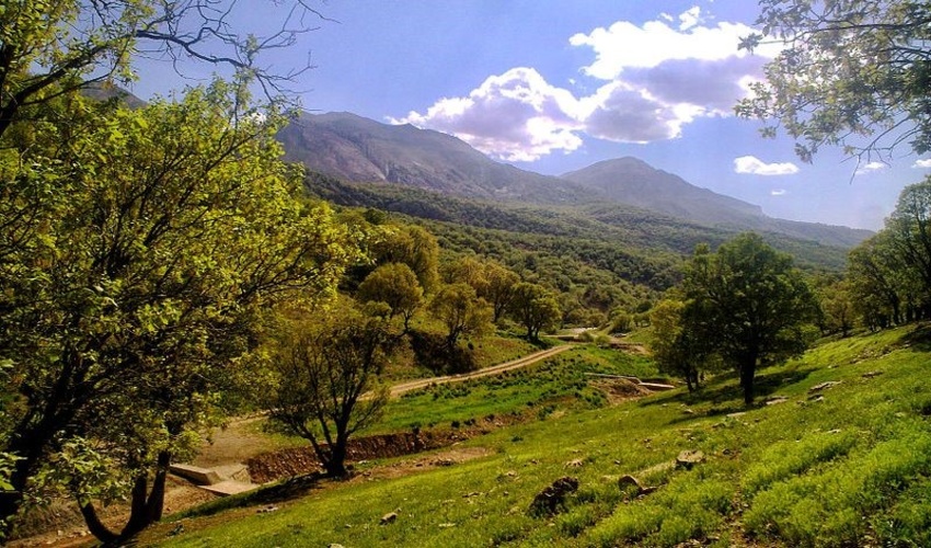 رفع تصرف ۱۴۶۹٠۵ مترمربع از اراضی ملی شهرستان عنبرآباد