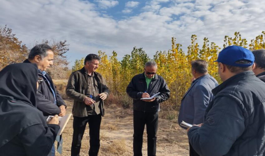 سازه های آبخیزداری در جنوب کرمان به طور چشمگیری قدرت تخریب سیلاب را کاهش داد.