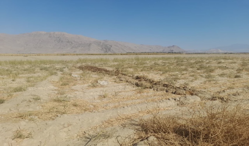 جلسه پیشگیری و اطفاء حریق عرصه های منابع طبیعی شهرستان منوجان برگزار شد.