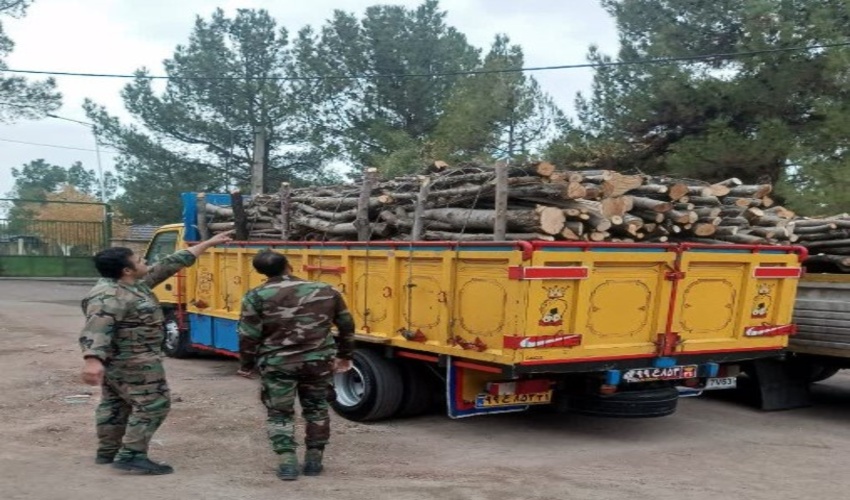 با عاملان آتش‌سوزی‌های عمدی و قاچاقچیان چوب برخورد قانونی شود