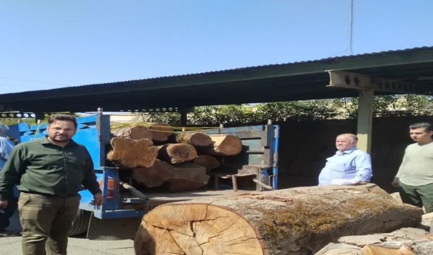 پیام تبریک دکتر حمزه احمدی مدیرکل منابع طبیعی و آبخیزداری جنوب کرمان به مناسبت فرا رسیدن هفته دفاع مقدس