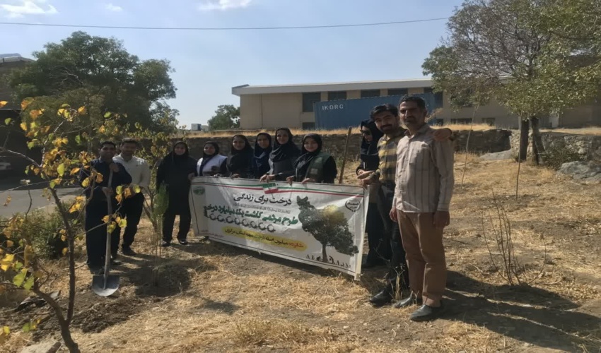 ۴۱ ذخیره گاه جنگلی در جنوب کرمان شناسایی و ثبت شد.