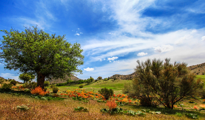 معارفه مدیرکل منابع طبیعی و آبخیزداری جنوب کرمان