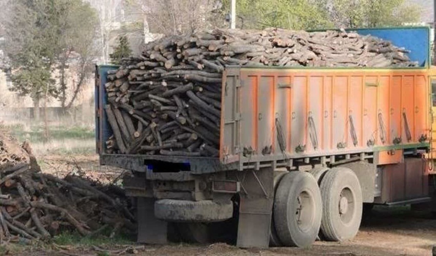 اینفوگرافی پروژه های اداره کل منابع طبیعی و آبخیزداری جنوب کرمان
