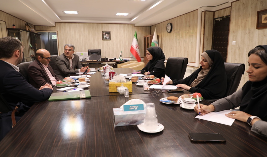 سرپرست سازمان جنگل ها: تفکر قطع درخت باید از ذهن ما خارج شود